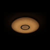 Dalen C319TX - Image 2
